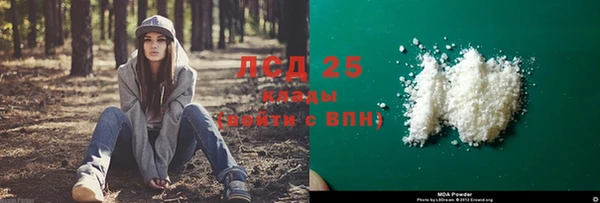 PSILOCYBIN Белокуриха