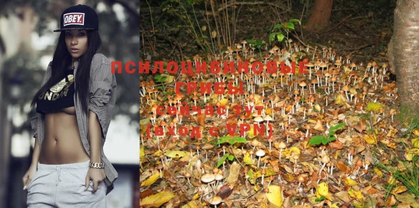 PSILOCYBIN Белокуриха