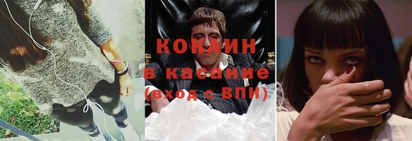 PSILOCYBIN Белокуриха