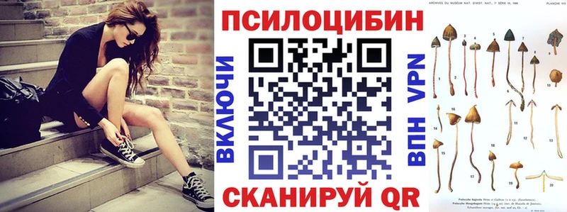Галлюциногенные грибы Psilocybine cubensis  Красный Сулин 